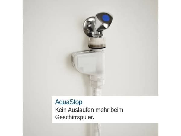 Bosch SBD6ECX12E - Diskmaskin - Rostfritt stål