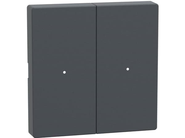 Schneider Electric MTN625214 PLC-tilbehør