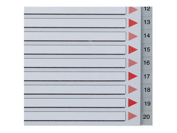 Register Esselte PP A4 Maxi 1-20 grå - (10 stk.)