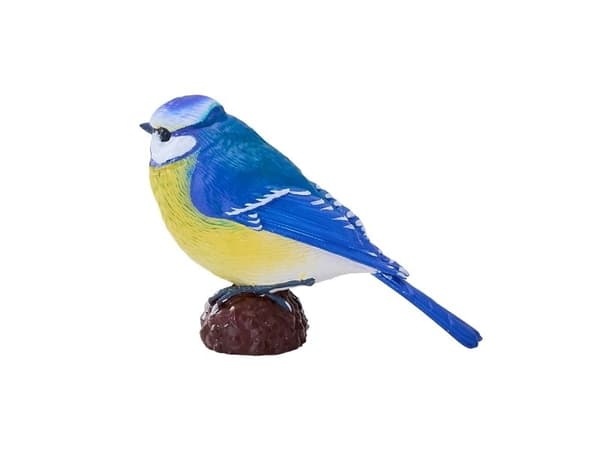 Blåmeis