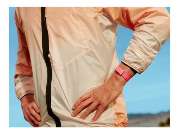 Google Fitbit Air, Berry, EU