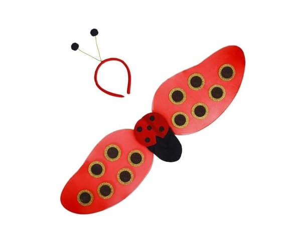 Ladybug pukusarja