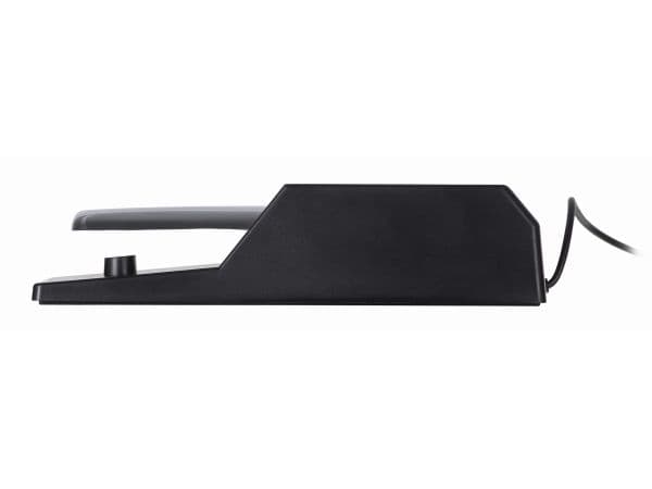 M-AUDIO SP-2 Vedvarende pedal 6.35 mm