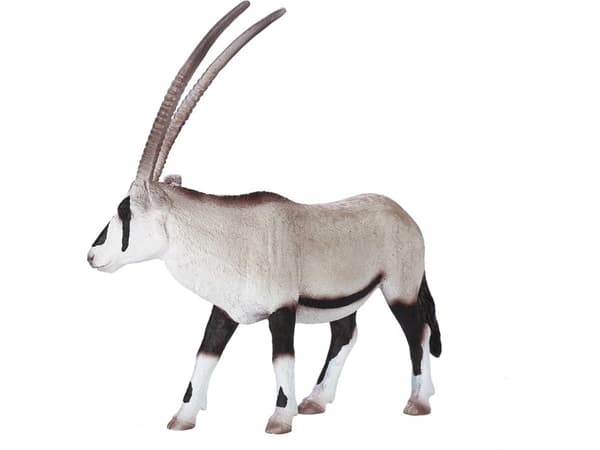 Mojo Oryx Antilope