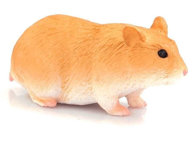 Mojo Hamster