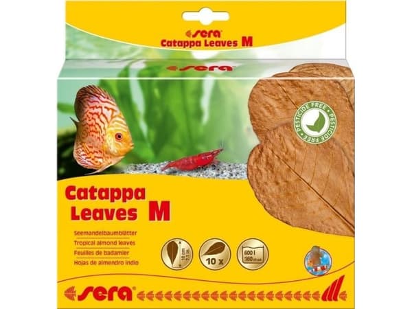 Sera Mandelblad - Catappa Blad M, 18 cm, 10 st/förpackning