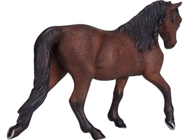 Mojo Morgan Hingst, Brun