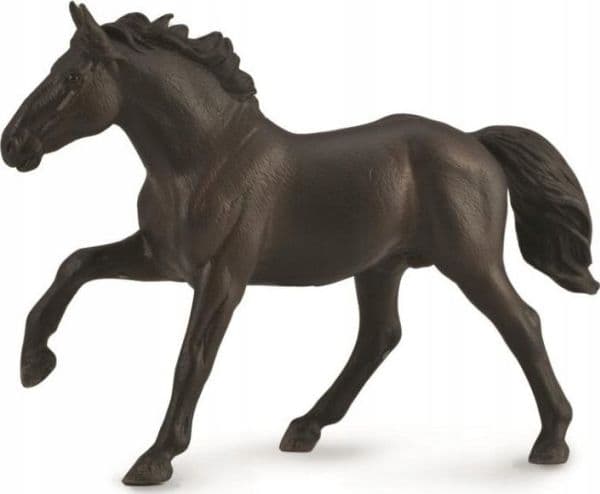 Hingst Nonius 88878 COLLECTA