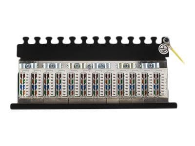 DELTACO PAN-213 - Patch-panel - väggmontering - CAT 6a - RJ-45 X 12 - svart