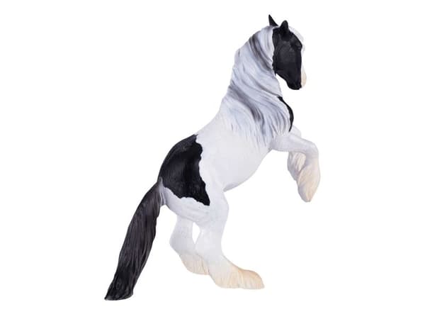 Mojo Gypsy Vanner hingst