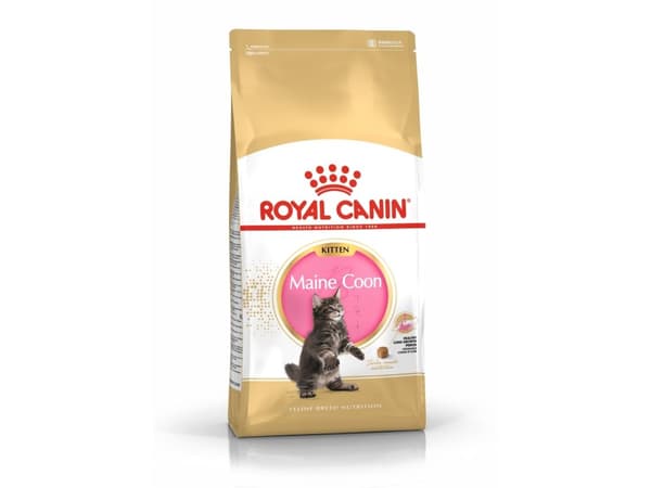 Royal Canin Maine Coon Kitten torrfoder för kattungar – 10 kg