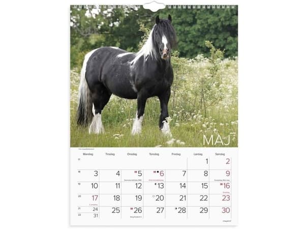 Väggkalender Hästar 2027