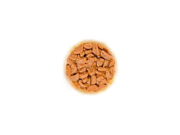 Royal Canin Ageing 15+ bitar i sås, våtfoder för katt – 12 x 85 g