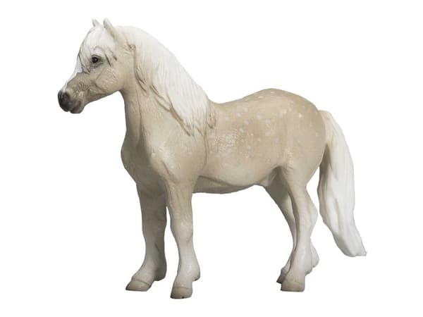 Mojo Welsh Pony