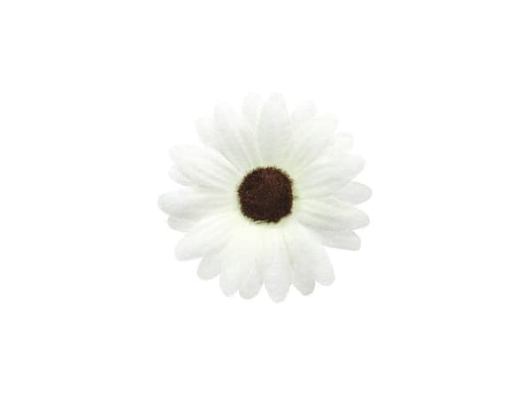 Hvite dekor margeritter, 5 cm