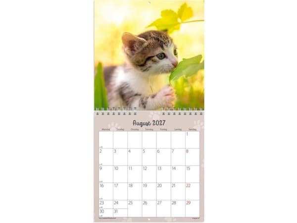 Väggkalender mini Kattungar 2027
