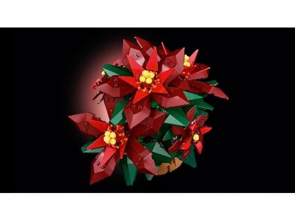 LEGO Botanicals 10370 Julestjerne