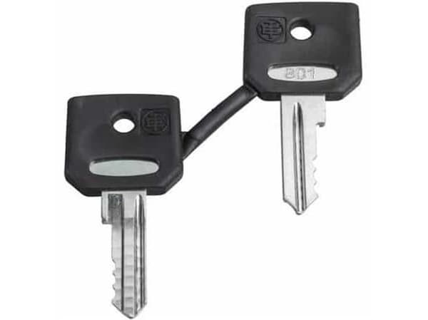 Ronis nyckel NR.455 ZBG455