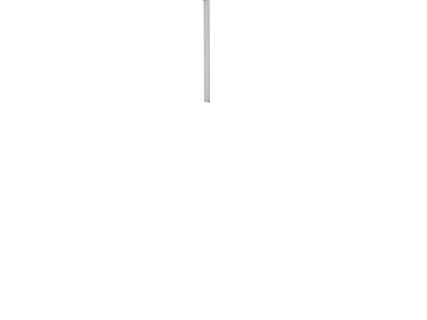 Bosch LIMSTIFTER TRANSPARENT 500GR 11X200MM