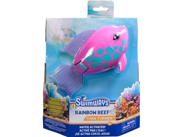 Rainbow Reef Fish - Rainbow Fish