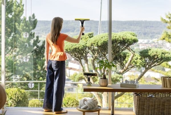 Karcher WV 8 Signature Line *EU