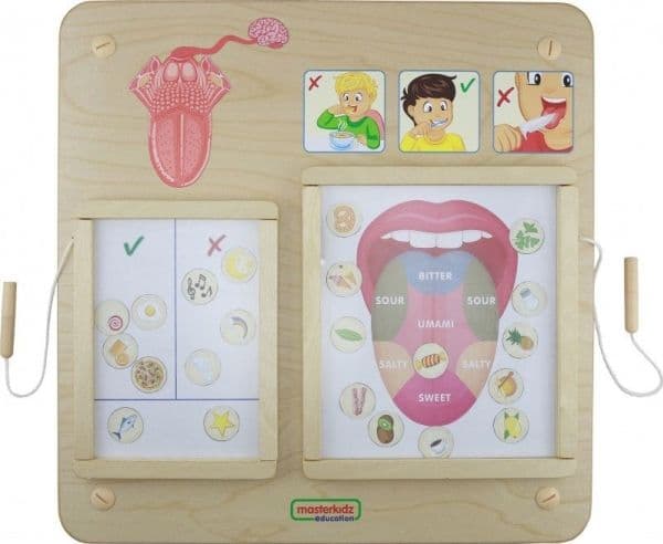 Masterkidz Educational Board Smakssans