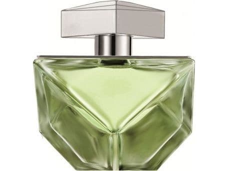 Britney Spears Believe edp 100ml