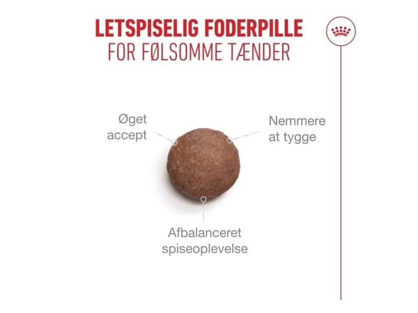 Royal Canin Ageing 11+ tørfoder til kat - 400 g