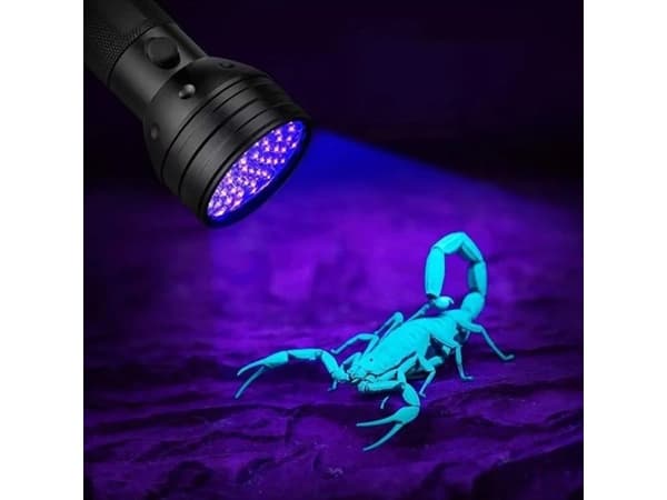 Wozinsky WLT-51L IP65 UV Flashlight for Trace Detection - Black