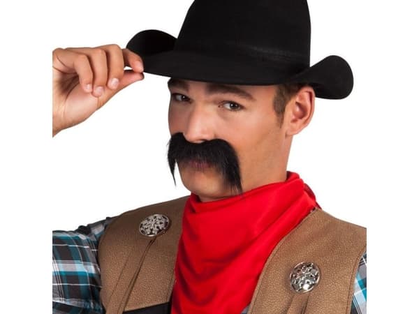 Aster Wąsy cowboy univ
