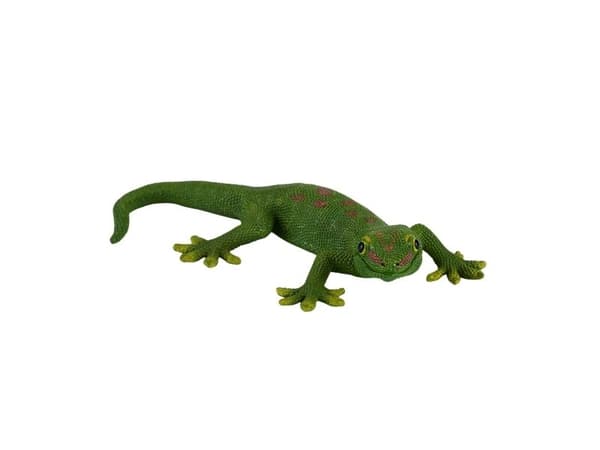 Mojo Gekko