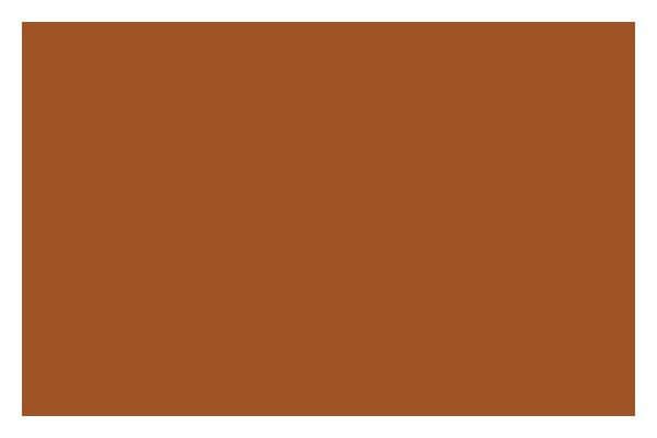 Ac Spray 400 ml Raw Sienna 0330