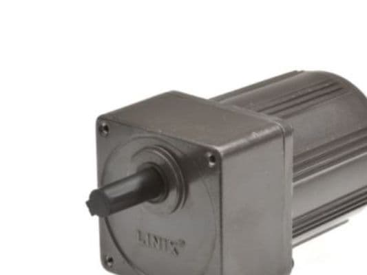 Gear motor YN80 8RPM