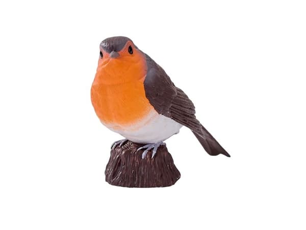 Robin