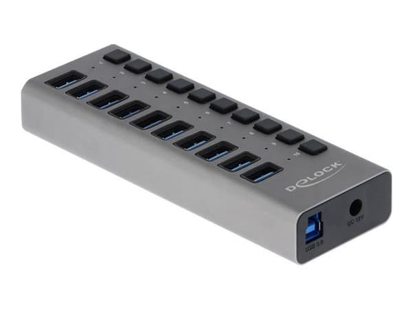 Delock - Hubb - 10 x SuperSpeed USB 3.0 - skrivbordsmodell