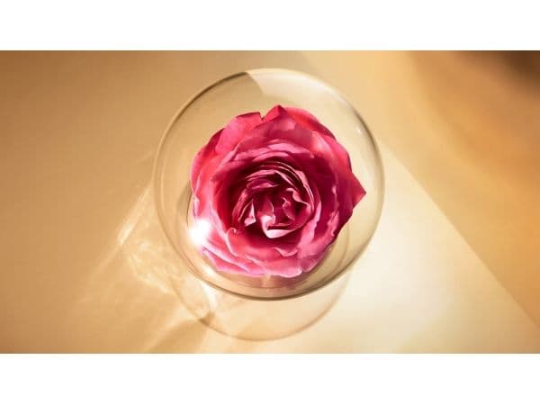 Lancome Absolue Rich Cream regenererende ansiktskrem 60ml