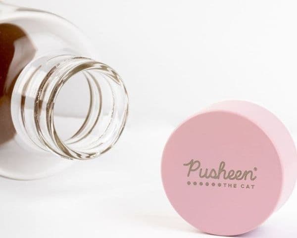 Pusheen vattenflaska i glas 500 ml