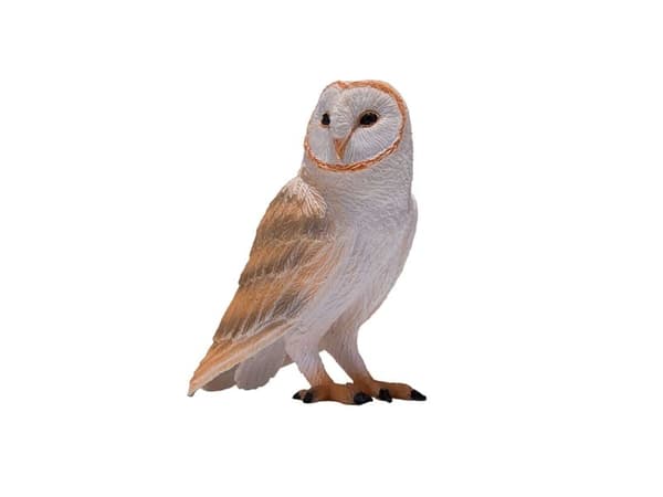 Mojo Slørugle