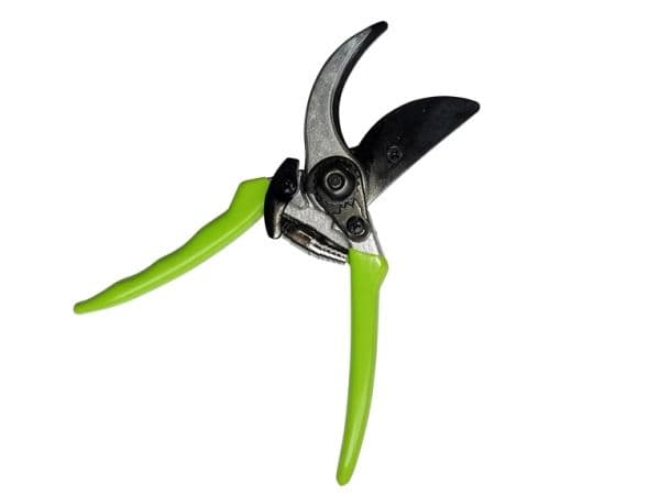 BYPASS PRUNER 20CM DIPPED HANDLE