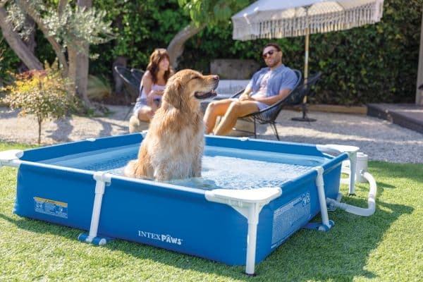 Square Frame Pet Pool Set