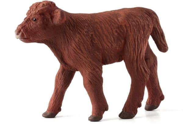 Mojo Scottish Highland Calf