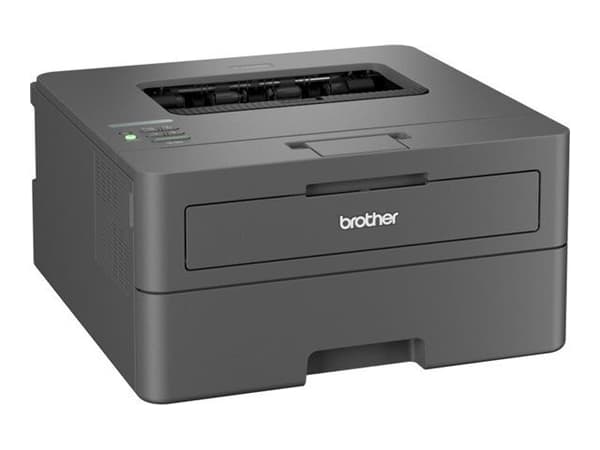 Brother HL-L2400DW Mono laser printer