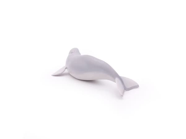 PAPO Beluga