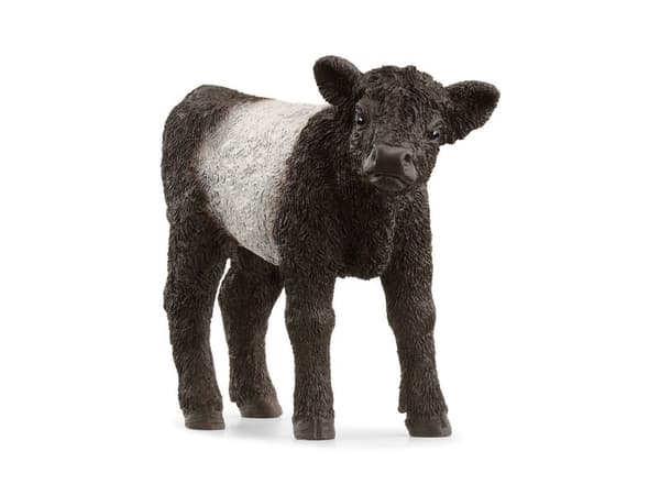 Schleich Galloway Calf