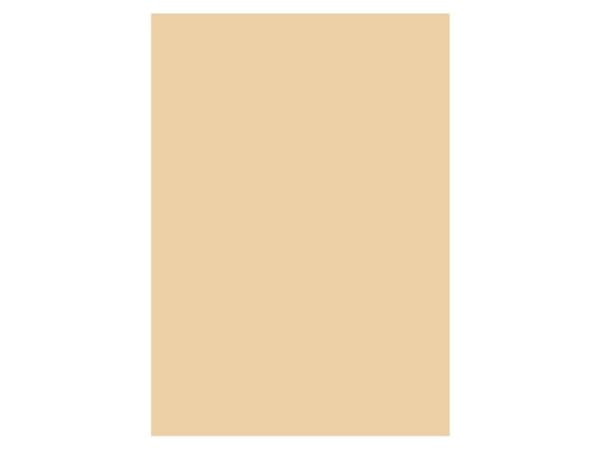 Karton A4 170 Gram Beige 10 Ark