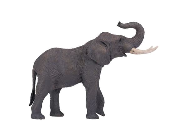 Mojo Afrikansk elefantokse