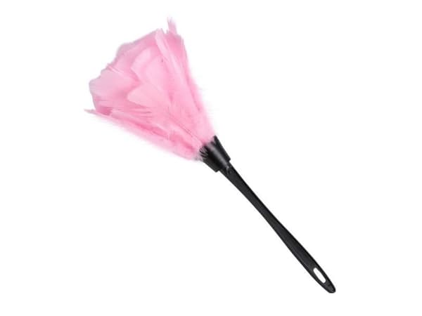 Pink støvkost