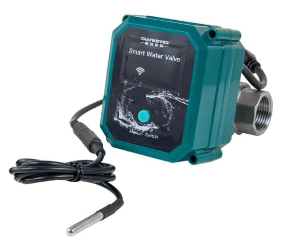 FrankEver Smart water valve DN20, ¾