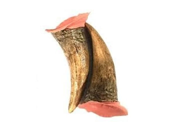 Store horn i latex