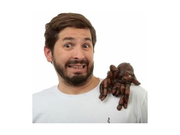 Tarantula shoulder buddy